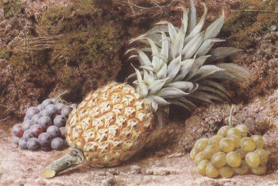 John Sherrin A Pineapple and Grapes on a mossy Bank (mk37)